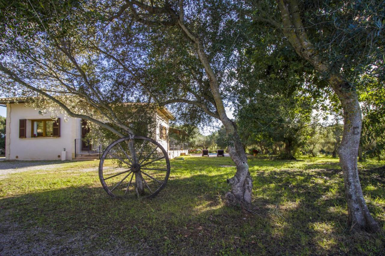 Finca Katia Capdepera  Luaran gambar