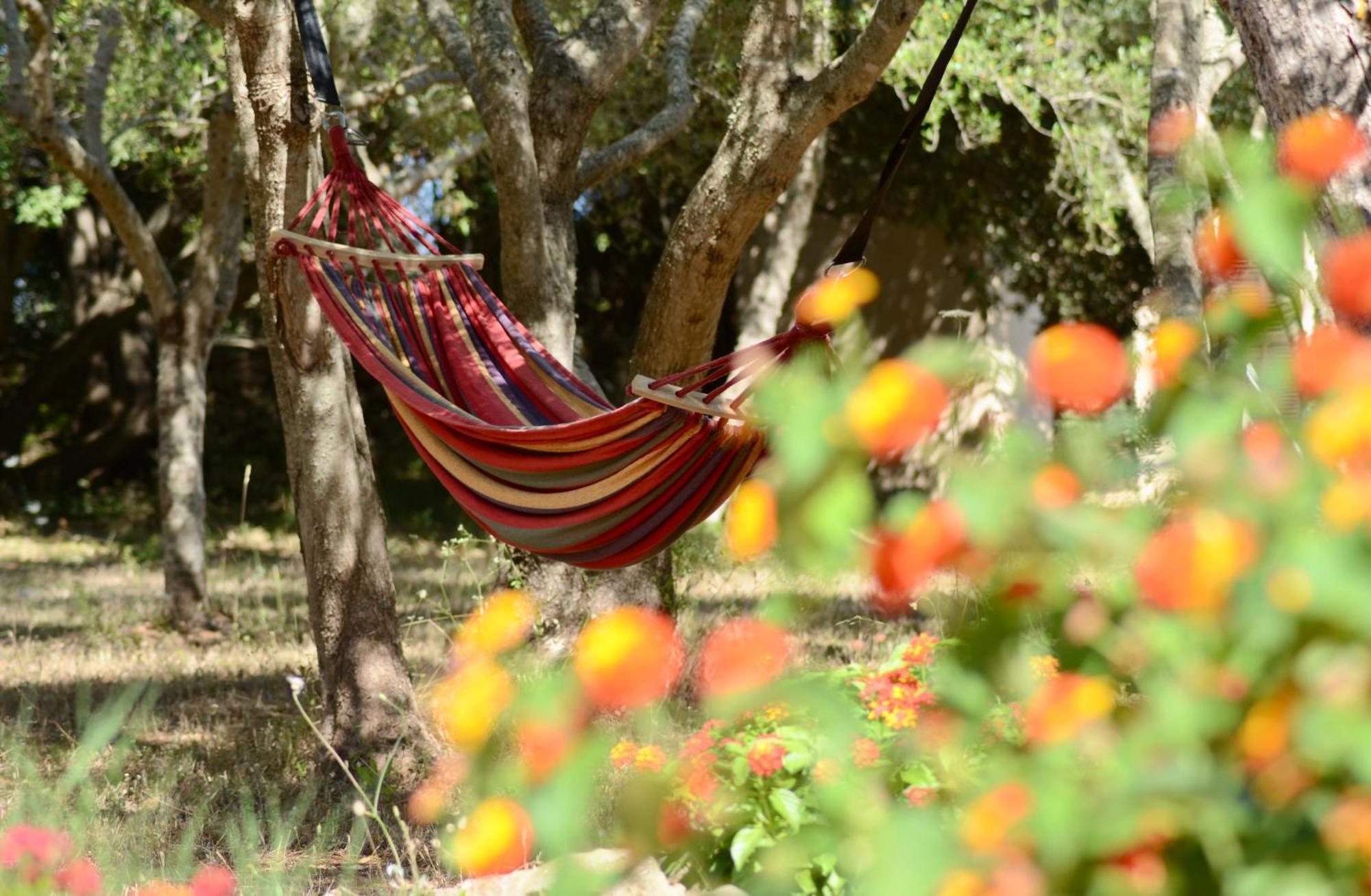 Finca Katia Capdepera  Luaran gambar